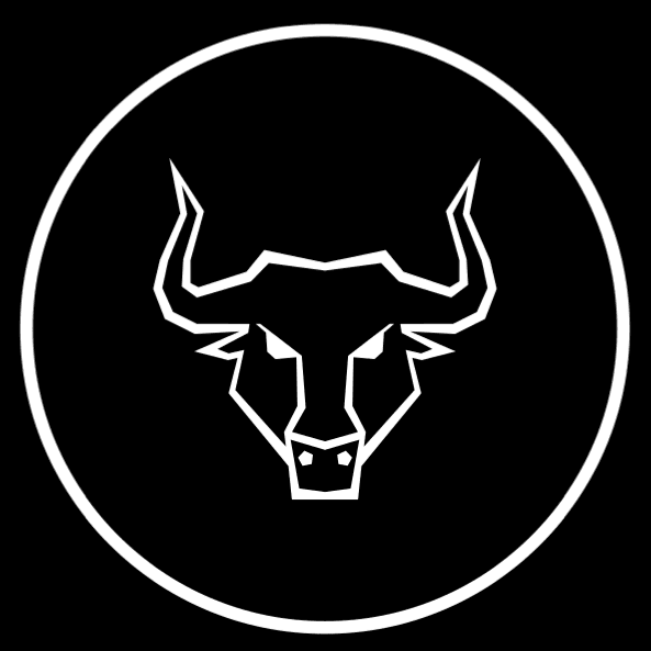 BAY STREET BULLS [TMI's DISCORD] logo