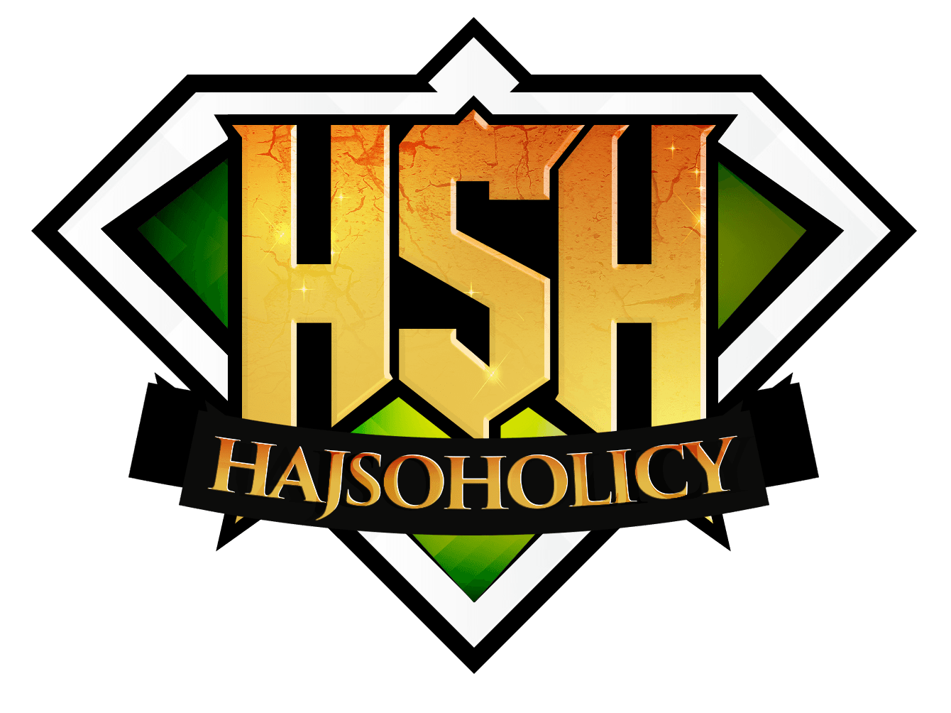 HajsoHolicy logo