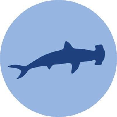 Hammerhead DFS logo