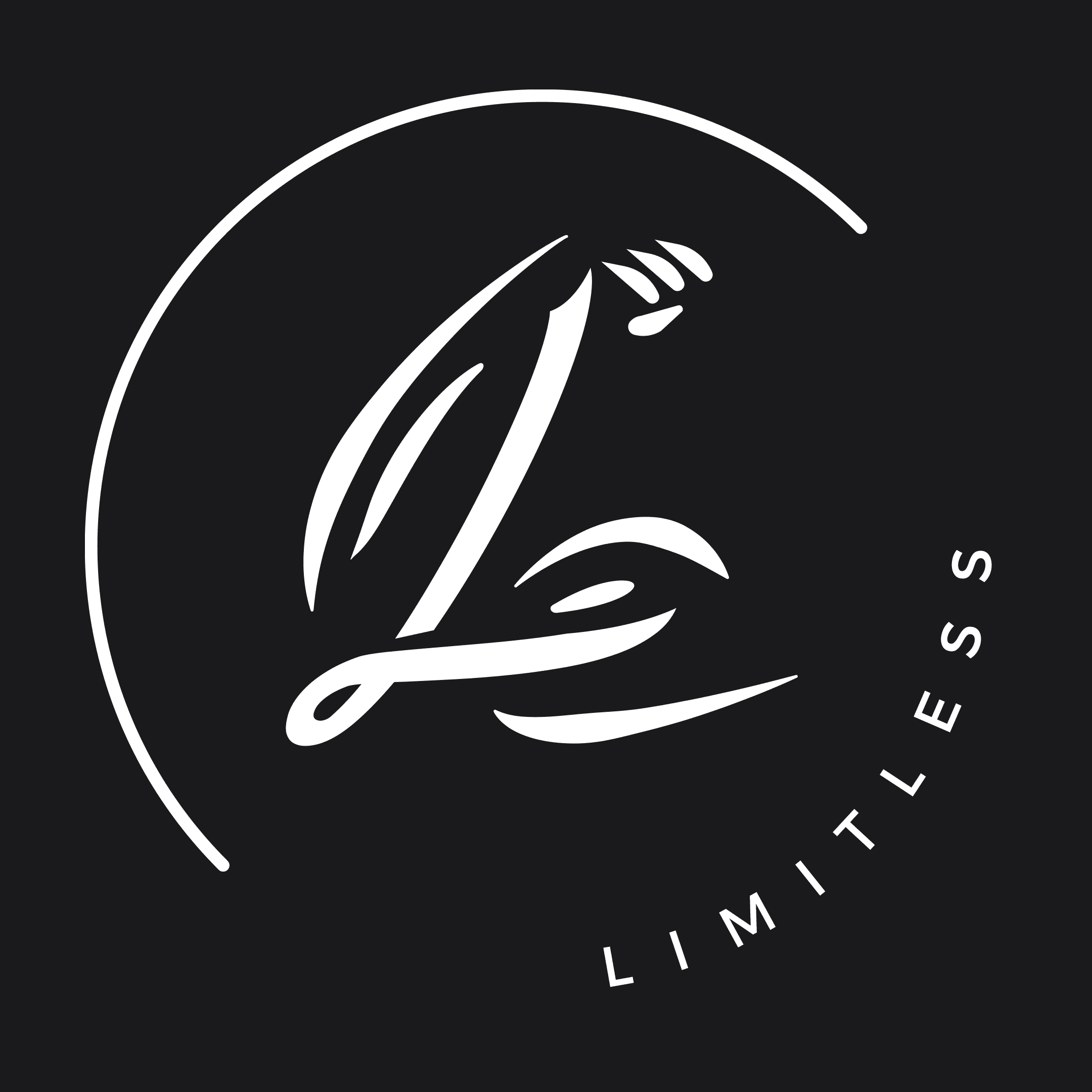 Limitless REI Wholesale logo