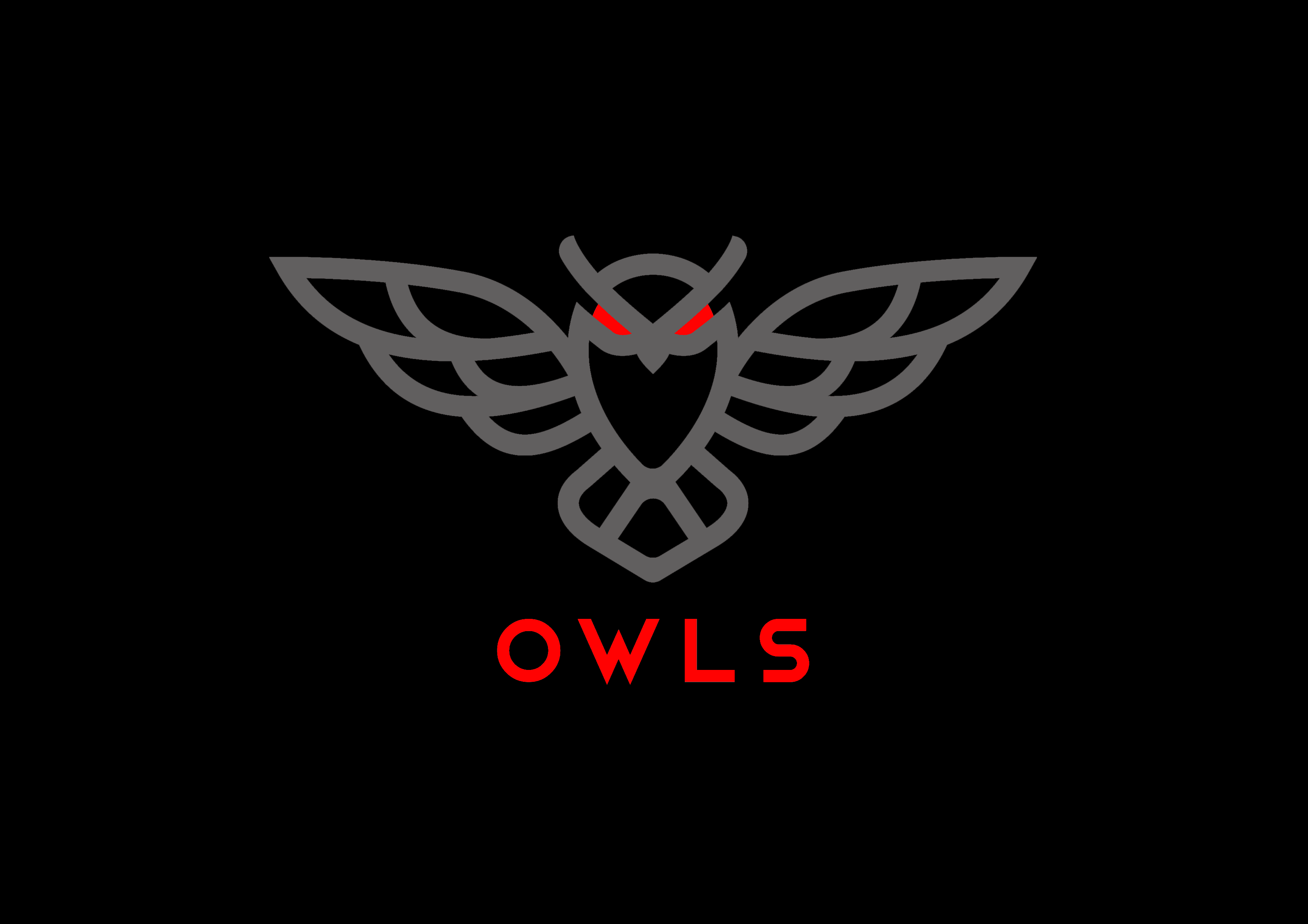 Owls Options Traders logo