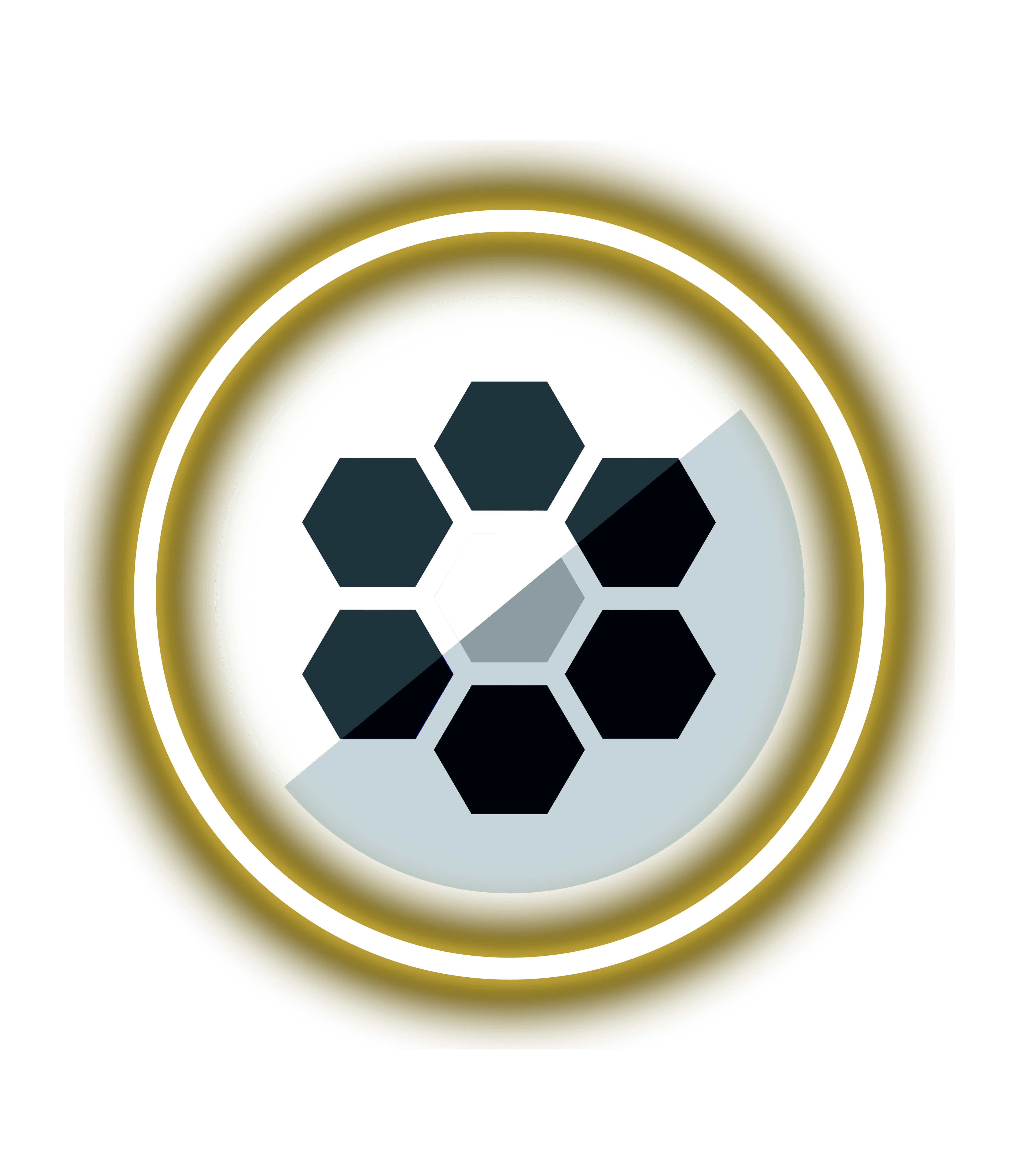 Speakhyve logo