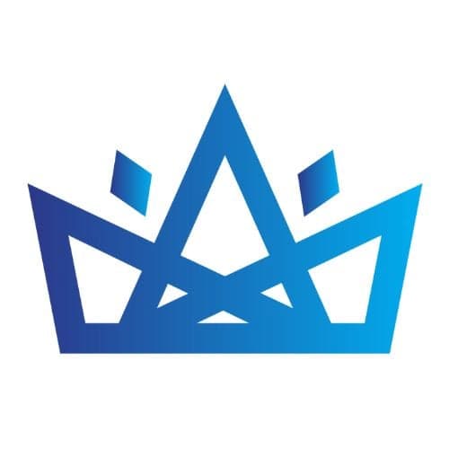 The Perfect Look logo