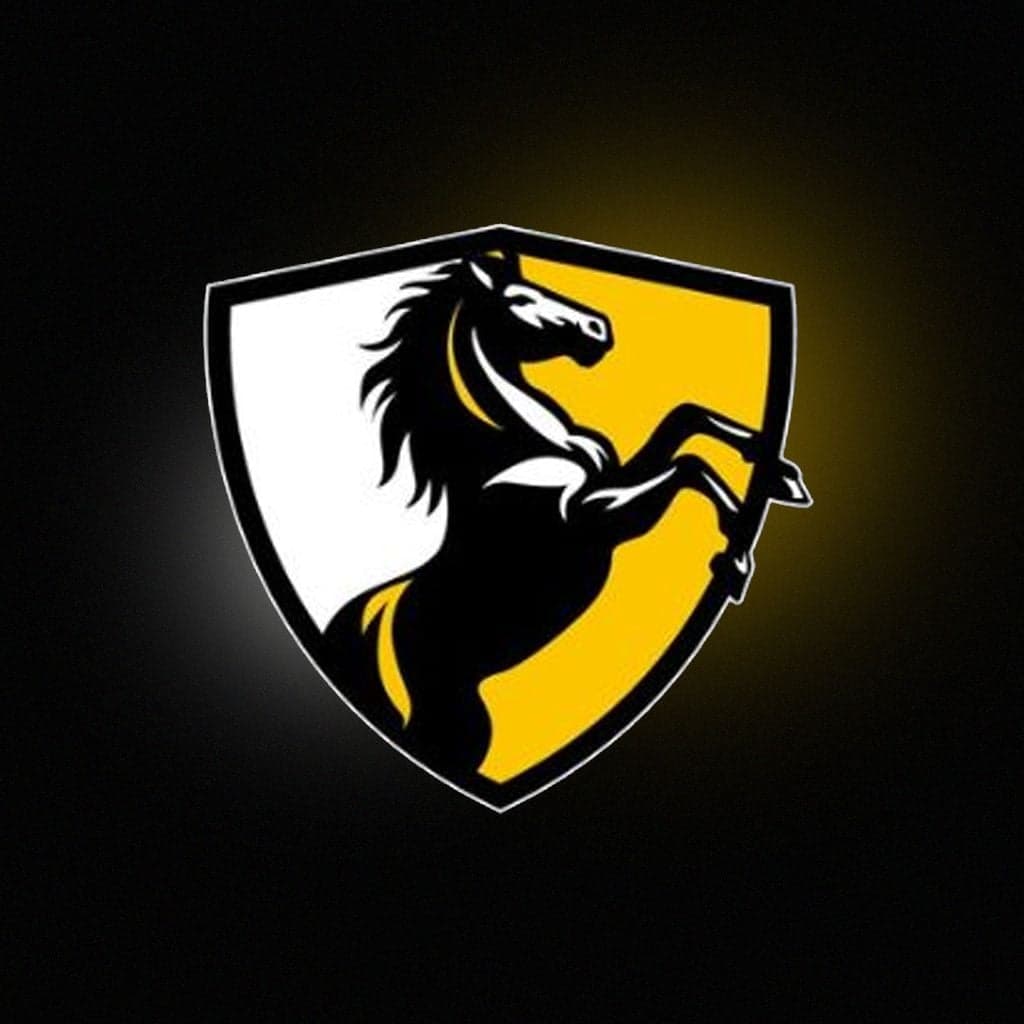 O'Donnell Performance Coaching logo