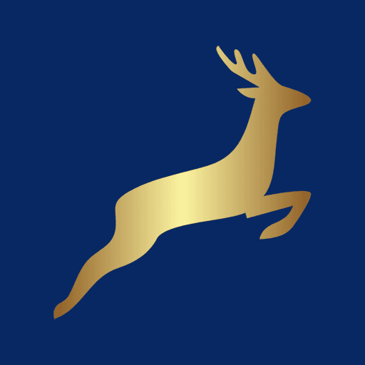 Leap Academy logo