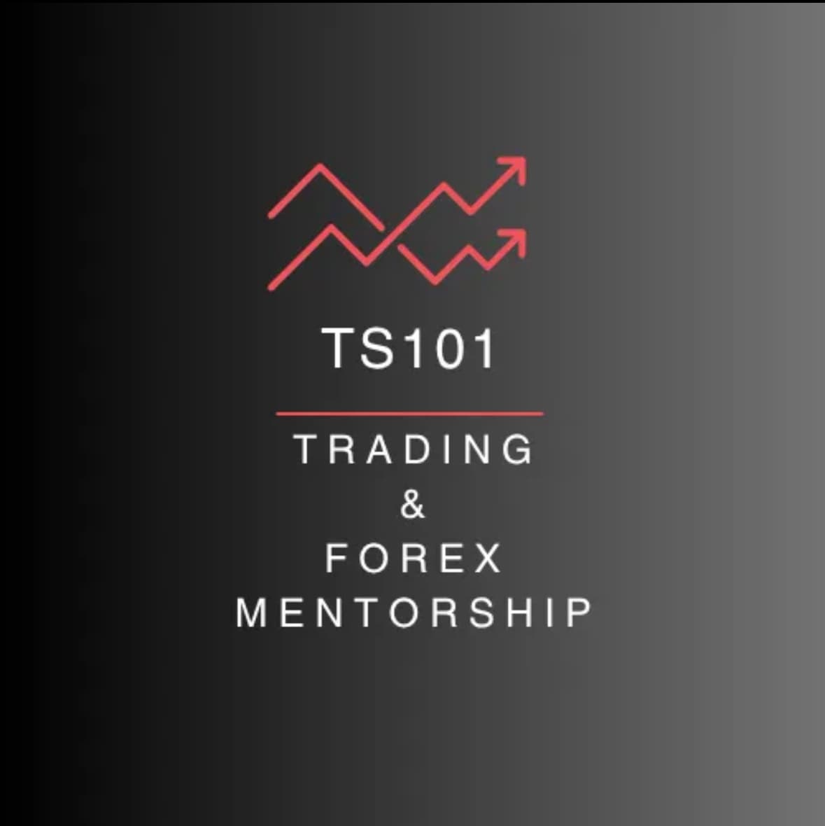 Trading School 101 logo