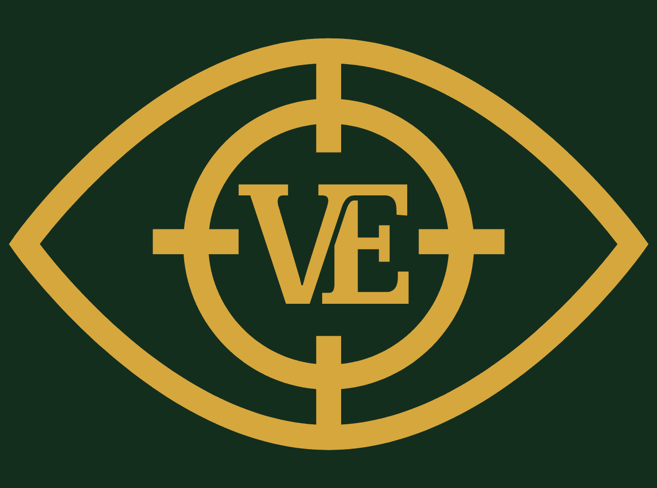 Visionary Ecom logo