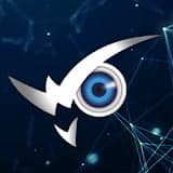 WiseVisionLLC logo
