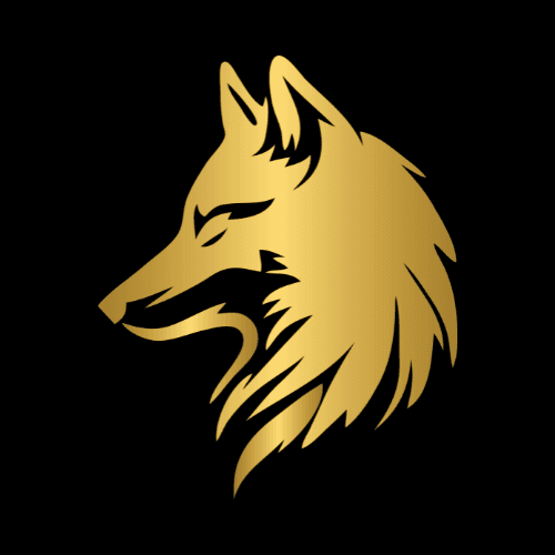 Funded Trader System logo