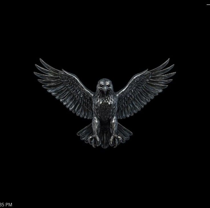 Hawks Project (By Chroma Trades) logo