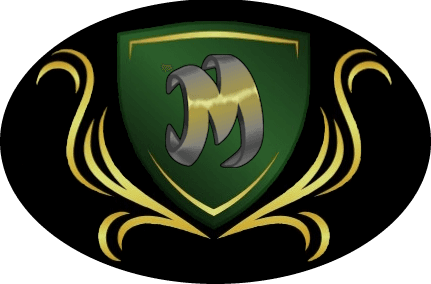 Day Trade Options logo