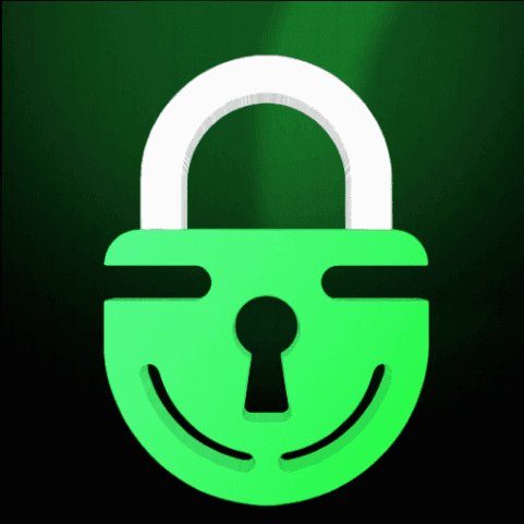 Lev's Locks logo