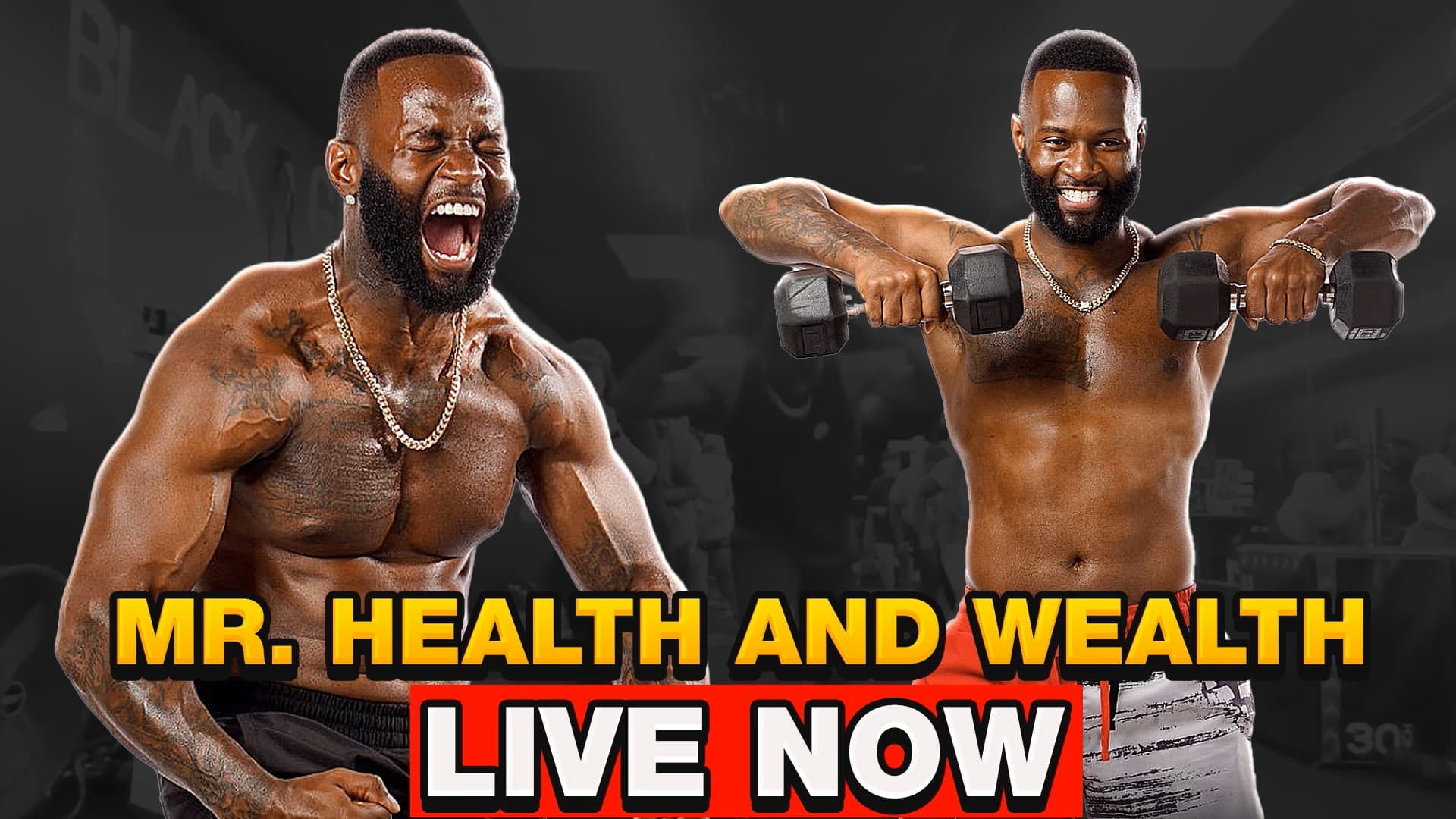 MrHealth&Wealth logo