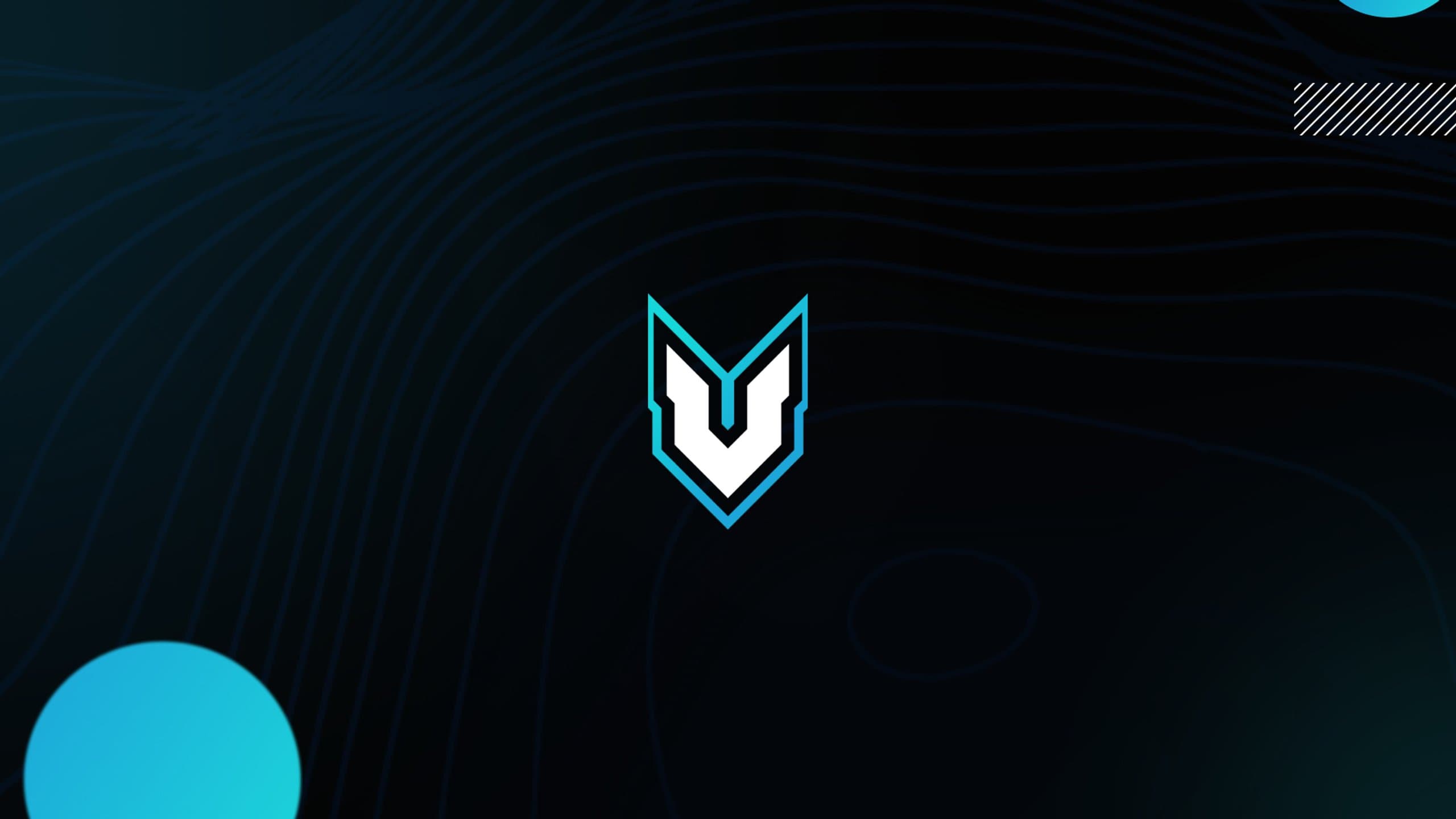Vanquish logo
