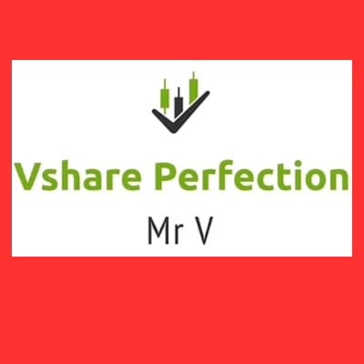 Vshare Perfection trading group logo