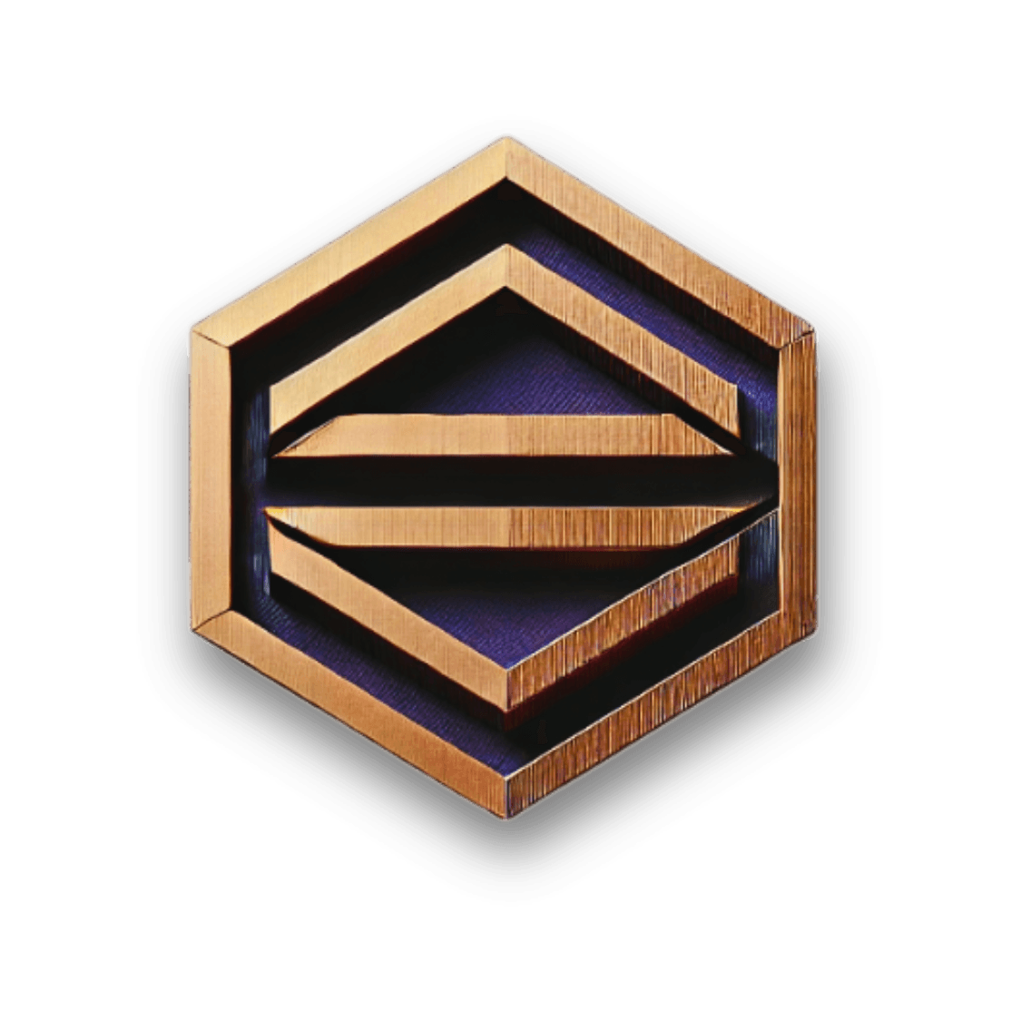Elite Coaching Academy logo