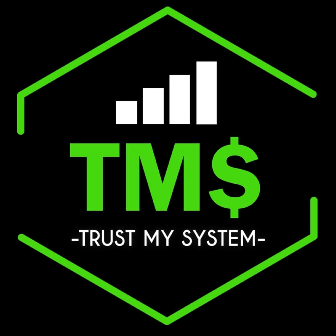 Trust My System logo