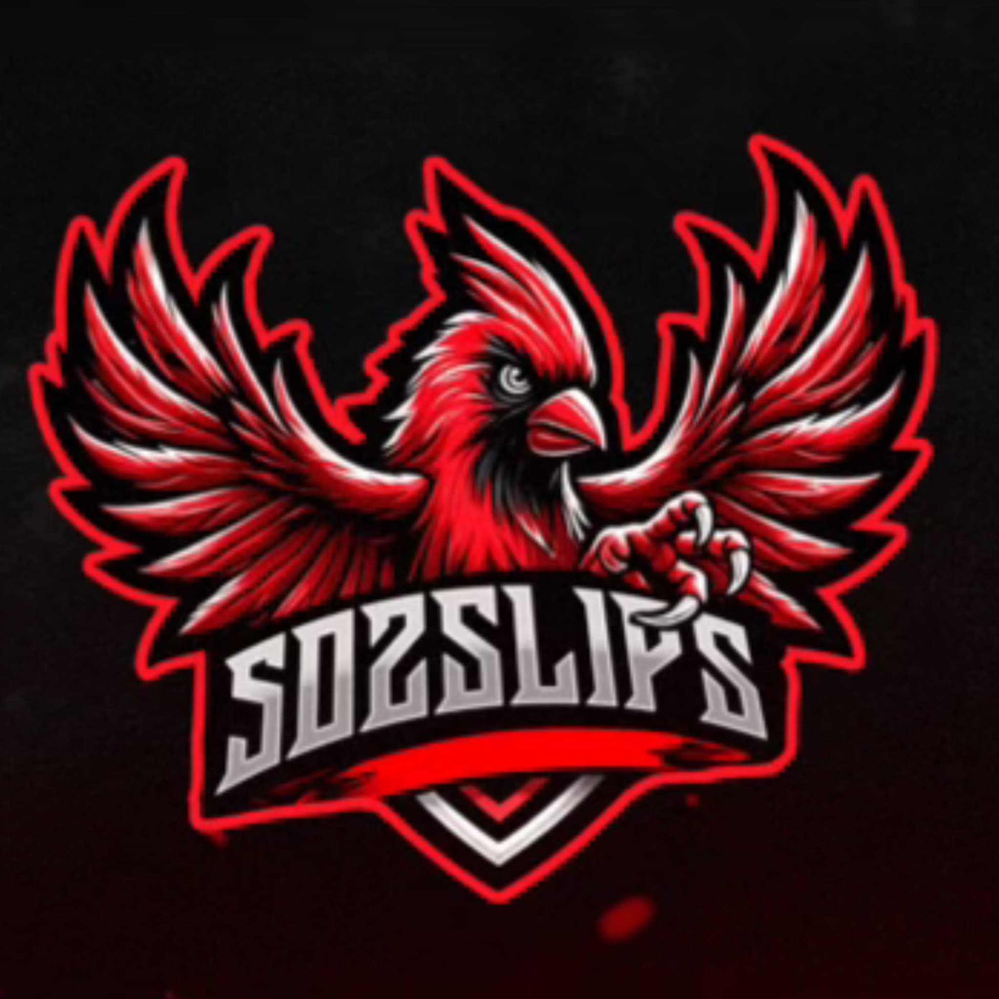 502SLIPS logo