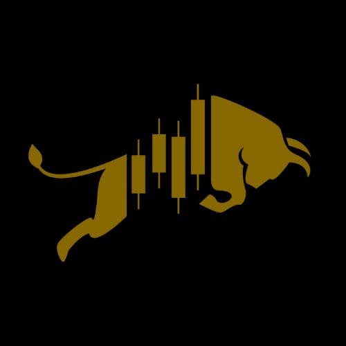 SoFlo Trading logo