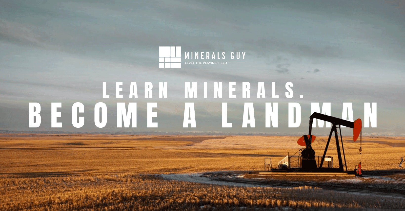 Learn Minerals logo