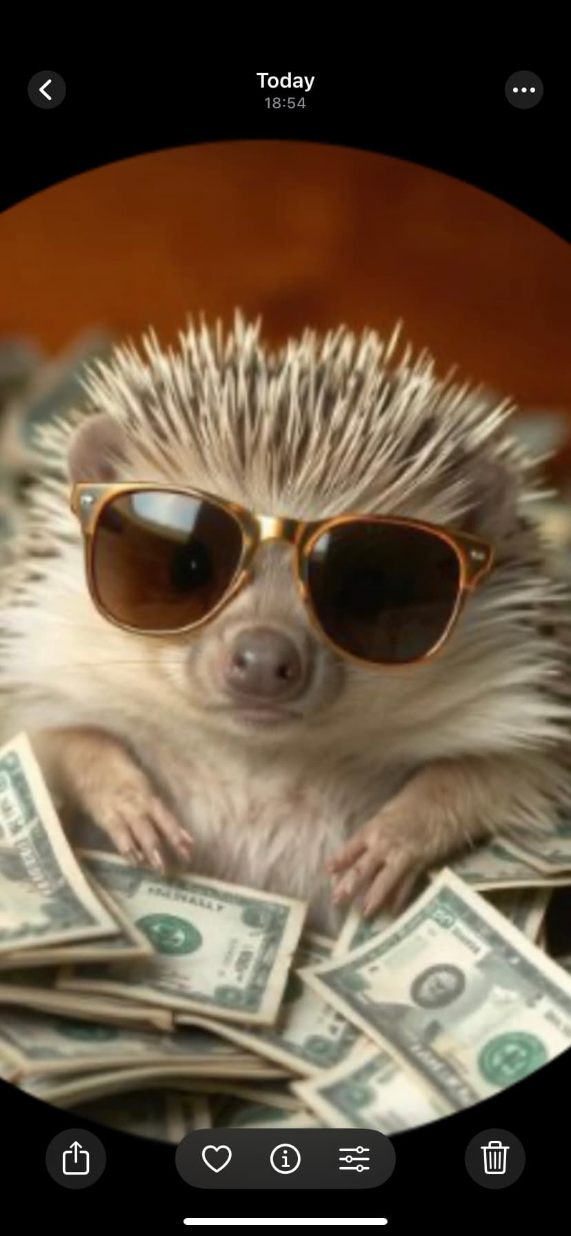 Hedgehog Bets VIP logo