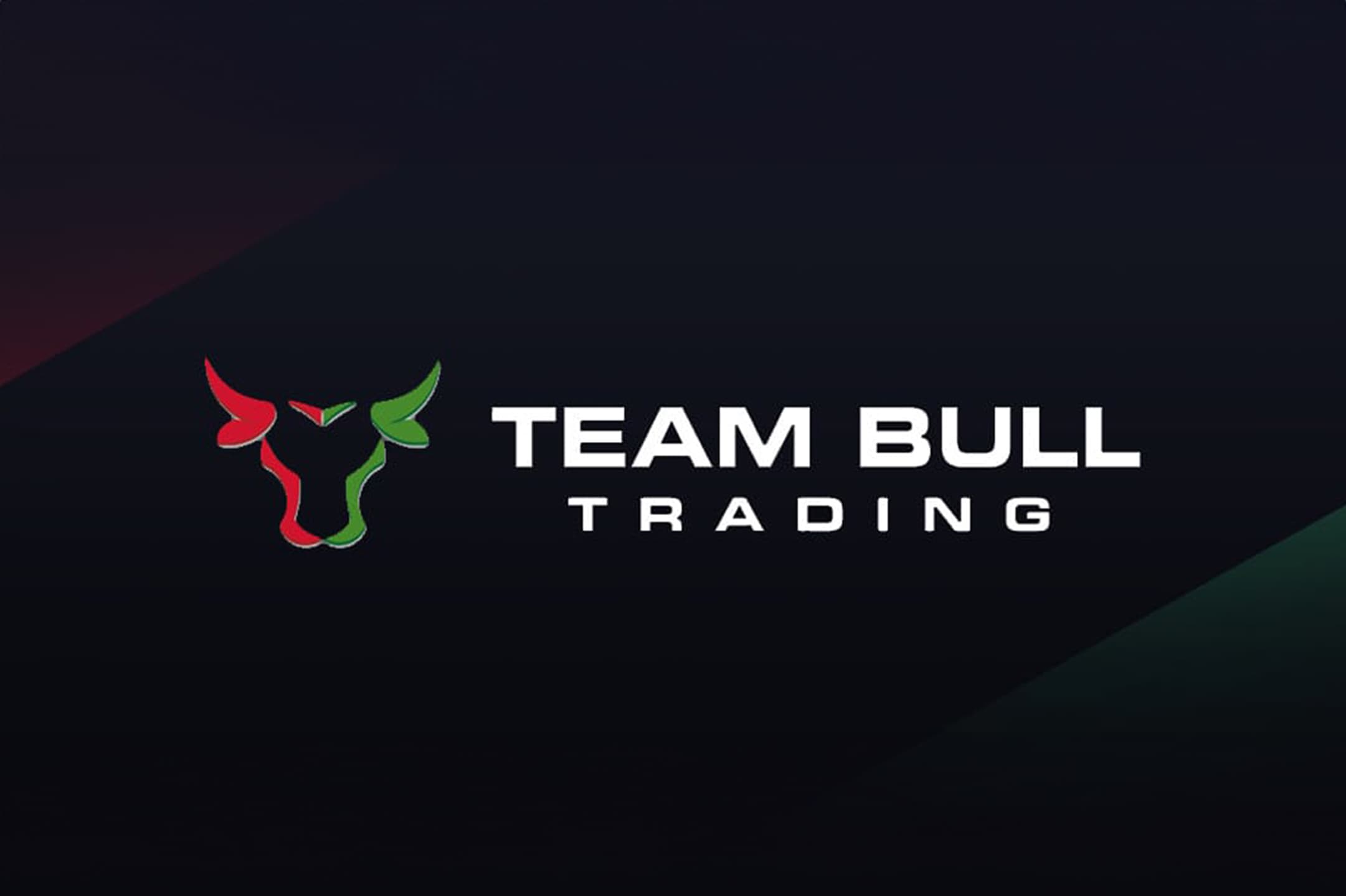 Team Bull Trading Master Mentor Program logo