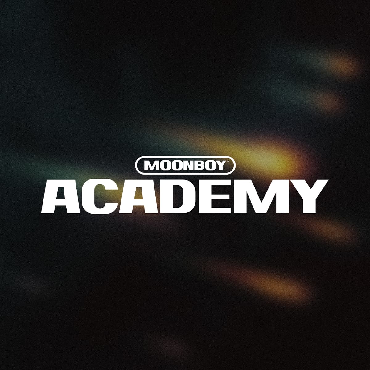 Moonboy Film & VFX Academy logo
