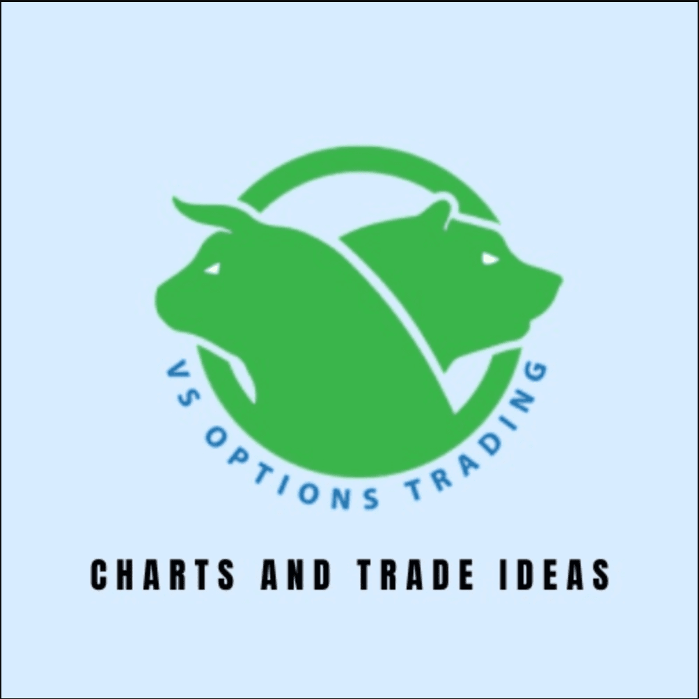 VS Options Trading - Charts logo