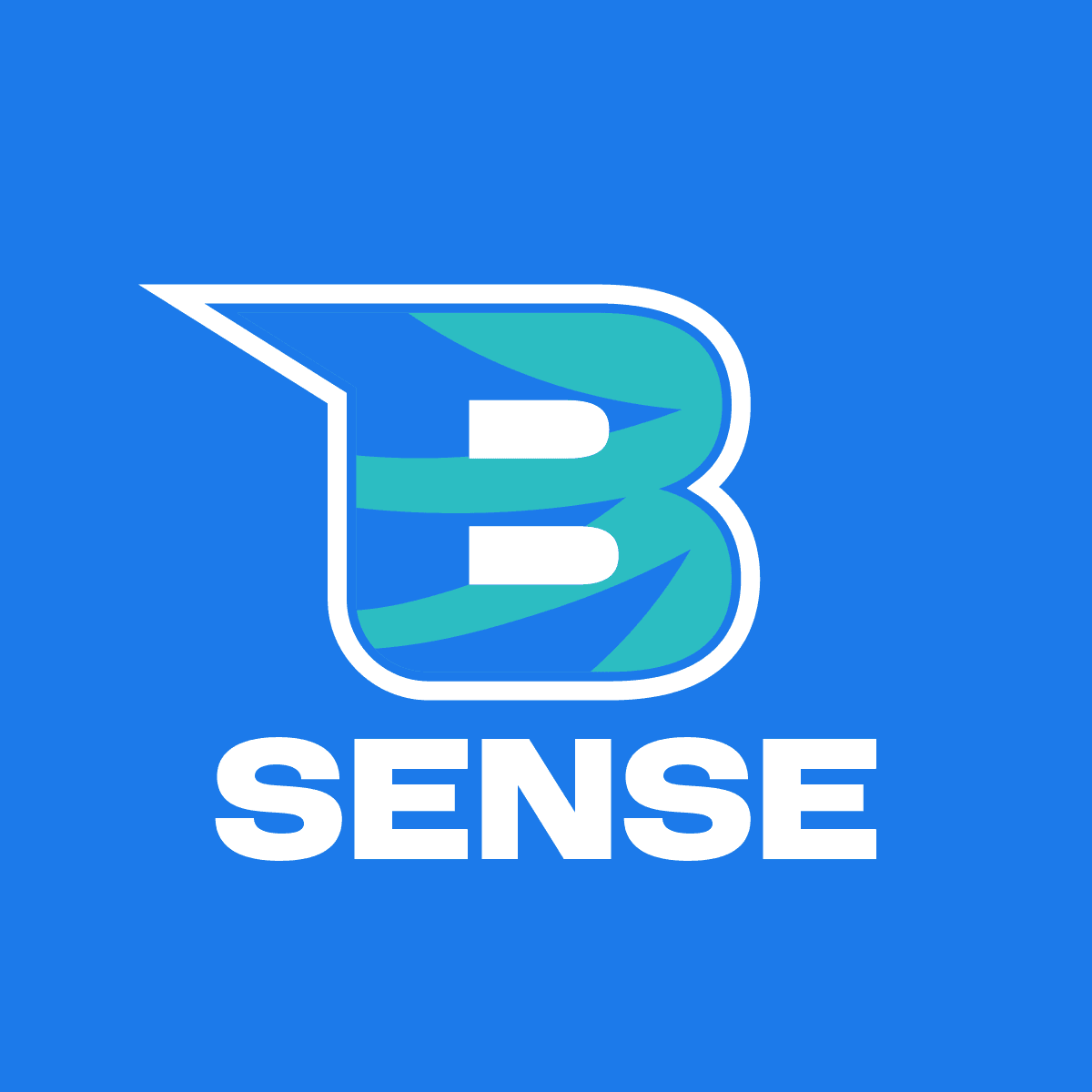 Bet Sense logo