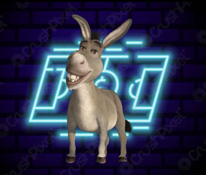 Donk's Locks Premium logo